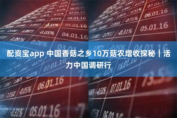 配资宝app 中国香菇之乡10万菇农增收探秘｜活力中国调研行
