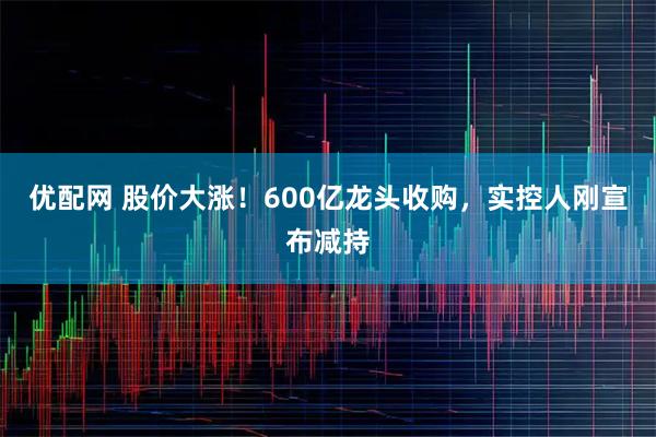优配网 股价大涨！600亿龙头收购，实控人刚宣布减持